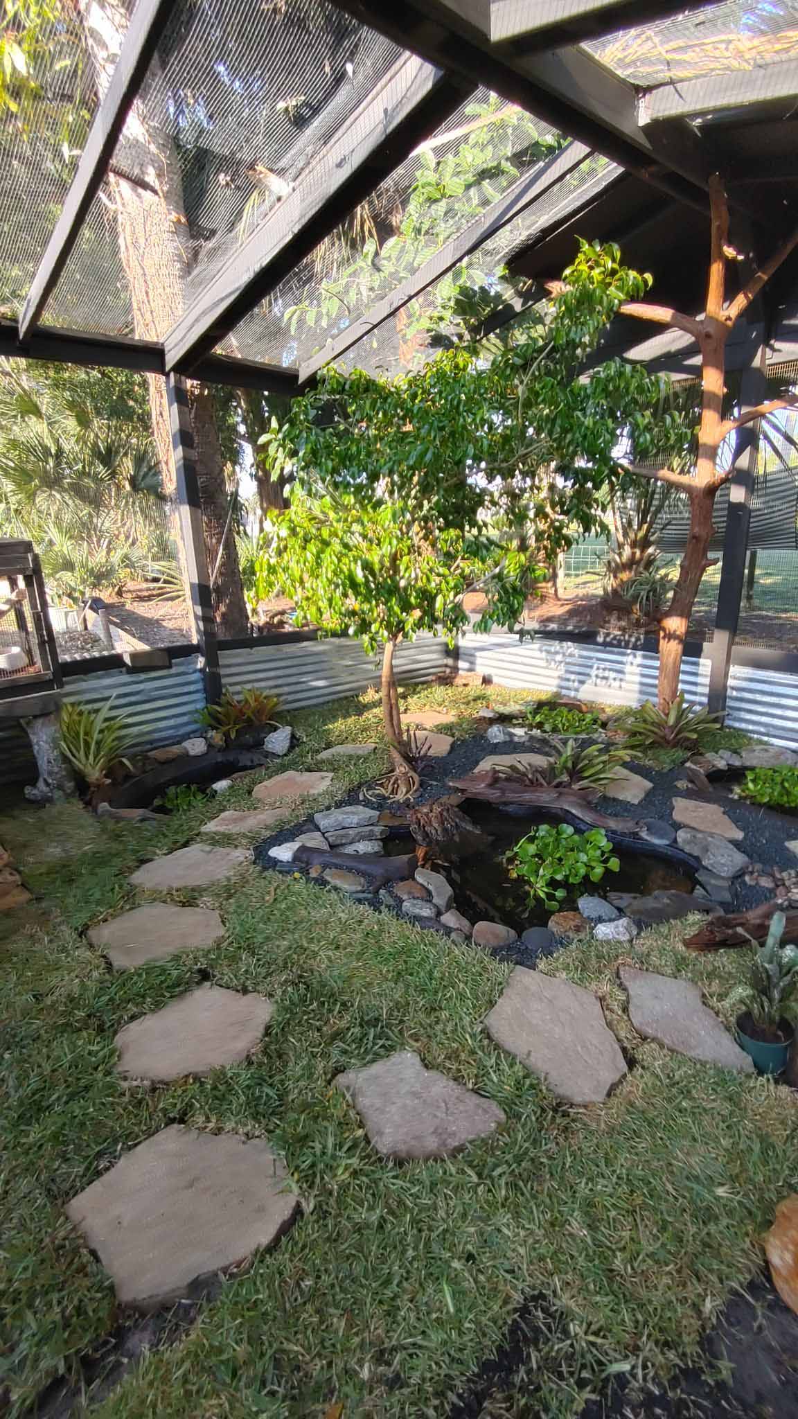 inside turtle enclosure